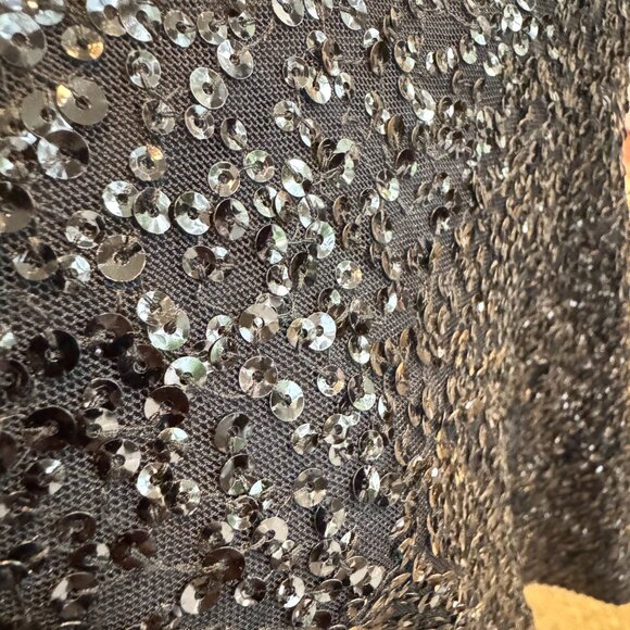 St John Sequin Short Sleeve Scoop Neck Top - Picture 8 of 15